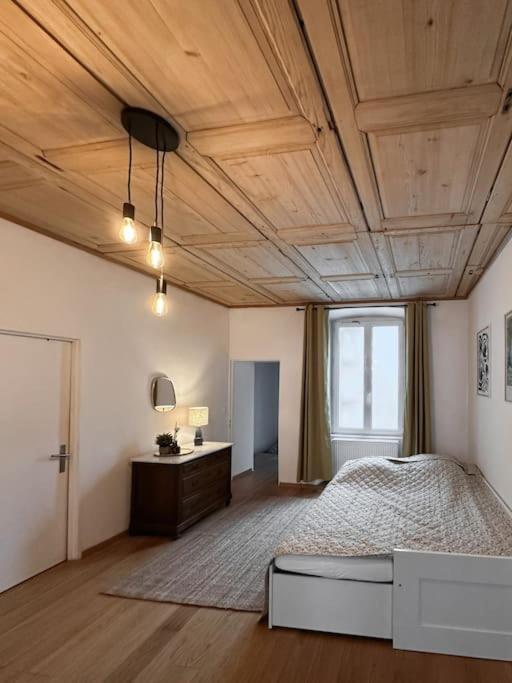 Hypercentre 80M2, A Deux Pas Du Chateau Des Rohan 사베른 외부 사진