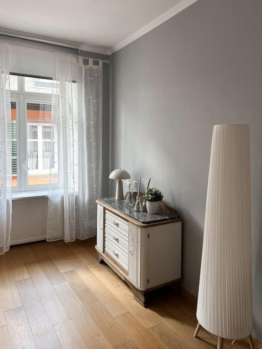 Hypercentre 80M2, A Deux Pas Du Chateau Des Rohan 사베른 외부 사진