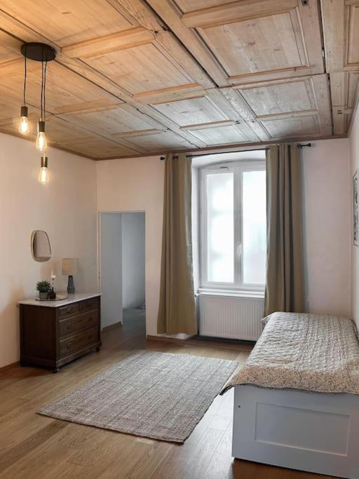 Hypercentre 80M2, A Deux Pas Du Chateau Des Rohan 사베른 외부 사진