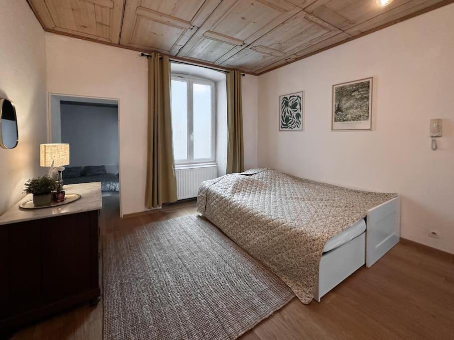 Hypercentre 80M2, A Deux Pas Du Chateau Des Rohan 사베른 외부 사진